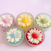 Daisy Jar Candles Set of 5 - Handmade Festive Soy Candles